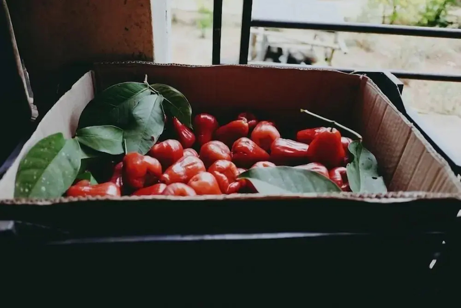 Sumvilla Homestay - Hostel