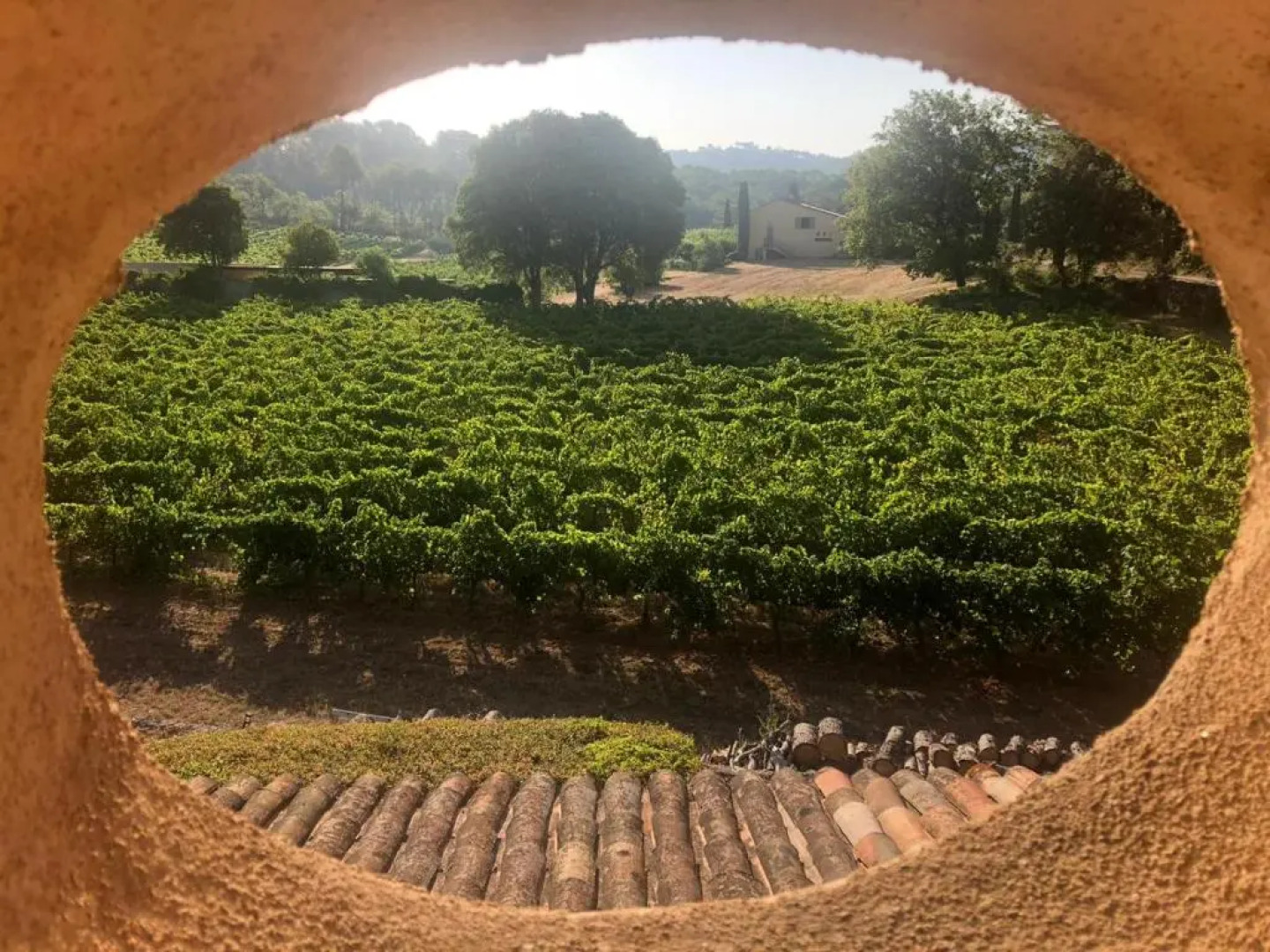 Domaine du Clos dAlari