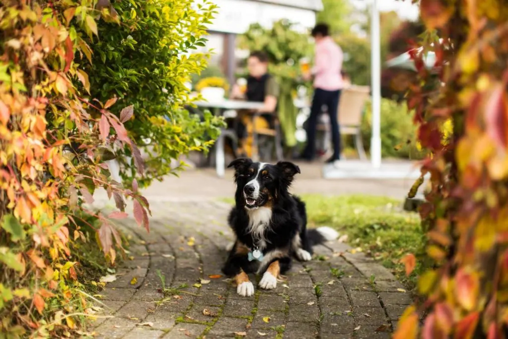 Hotel Landgasthof Gilsbach