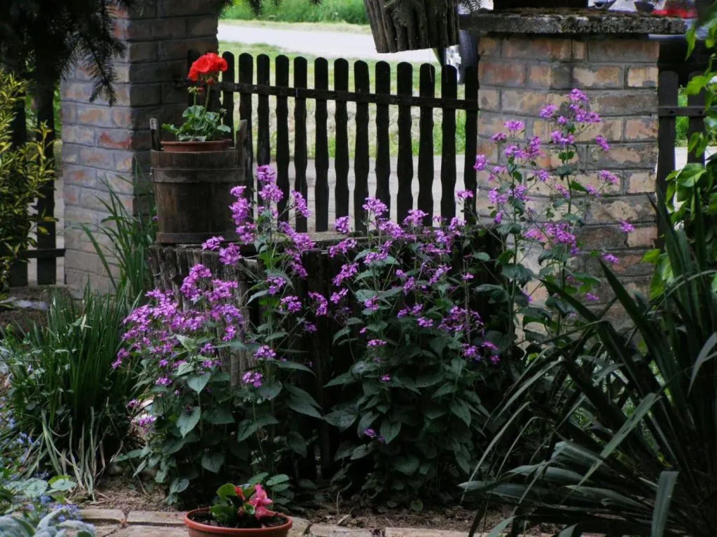 Apartments Bakine Čarolije