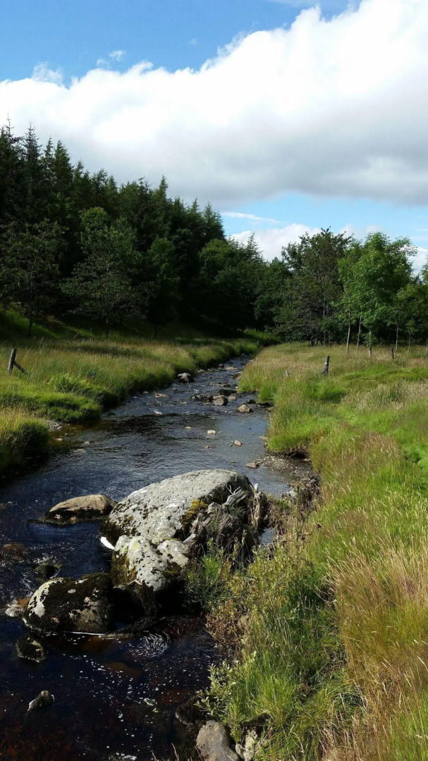 The Royal at Dockray