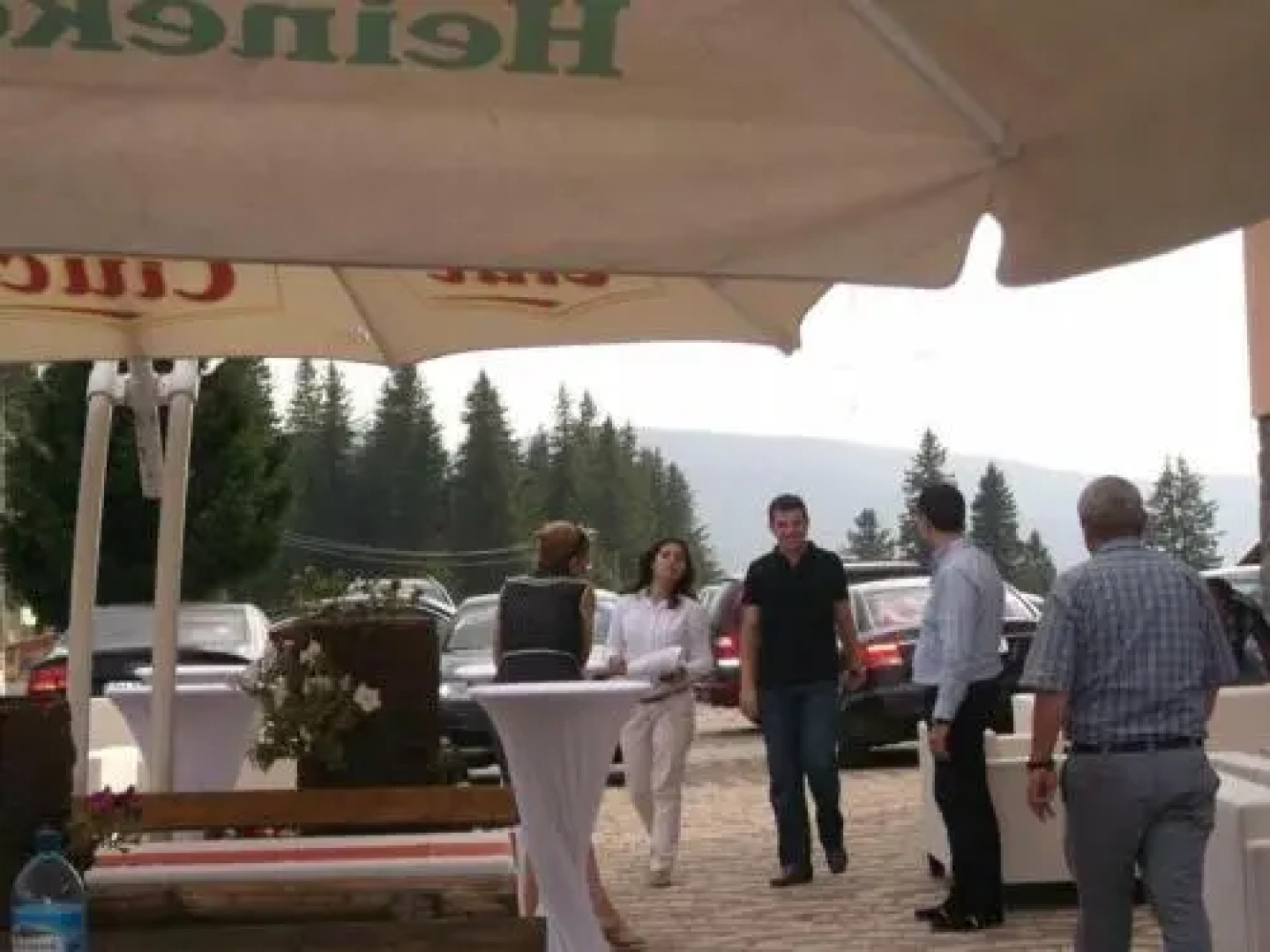 Pensiunea Alpina Casi & Spa