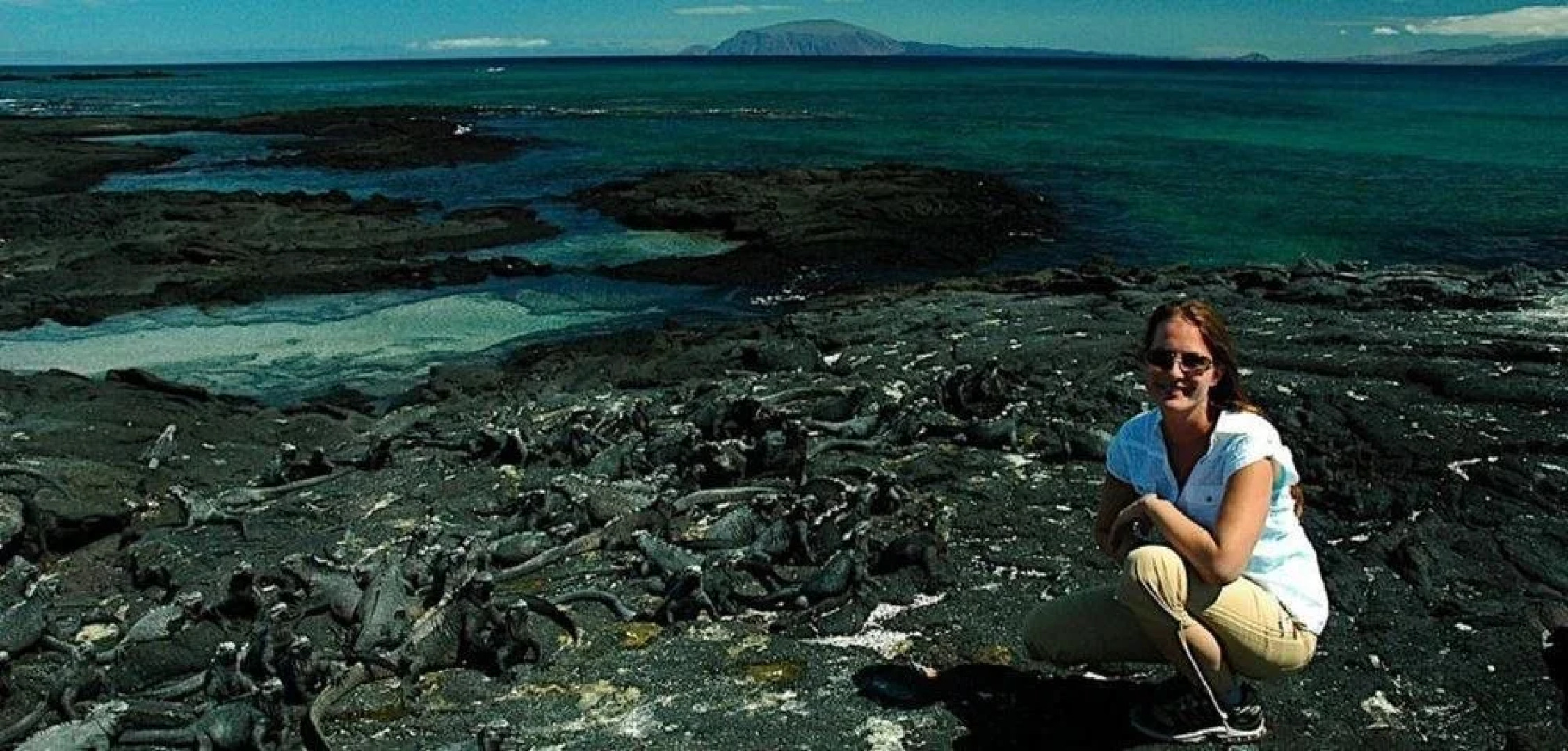 Woods Hole Passage Inn