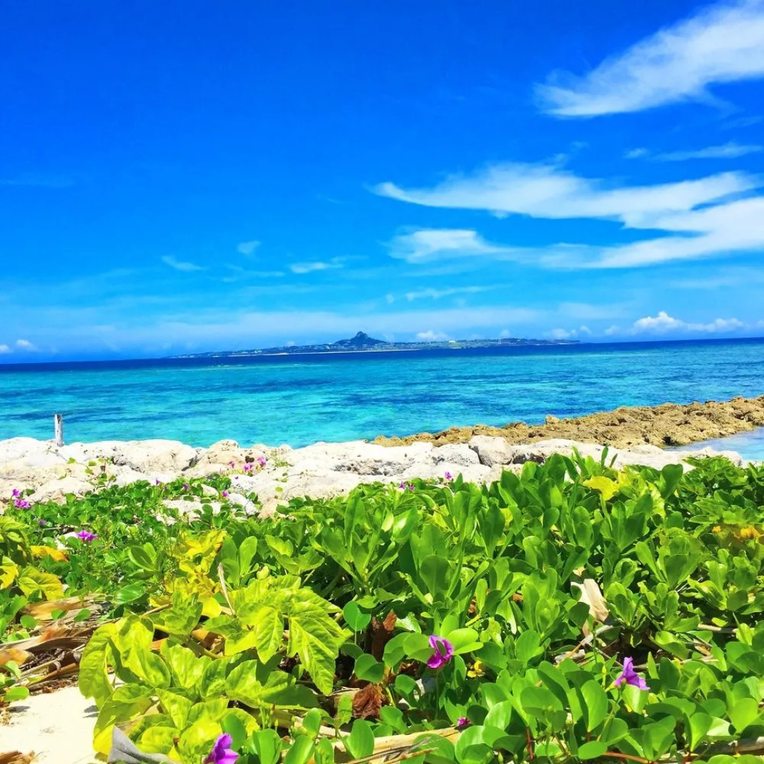 Guesthouse Seagull Village