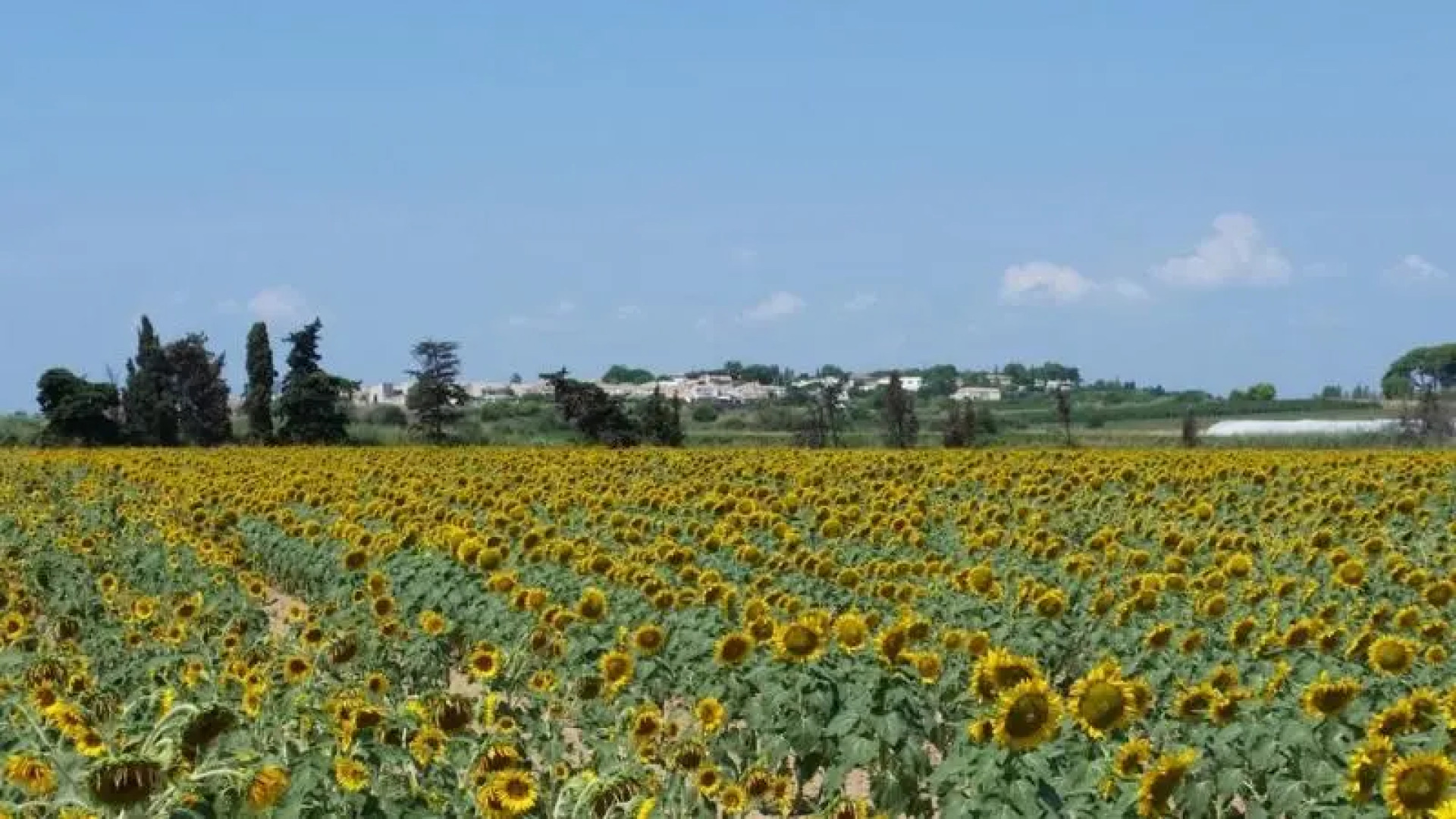 Villa Manet Portiragnes