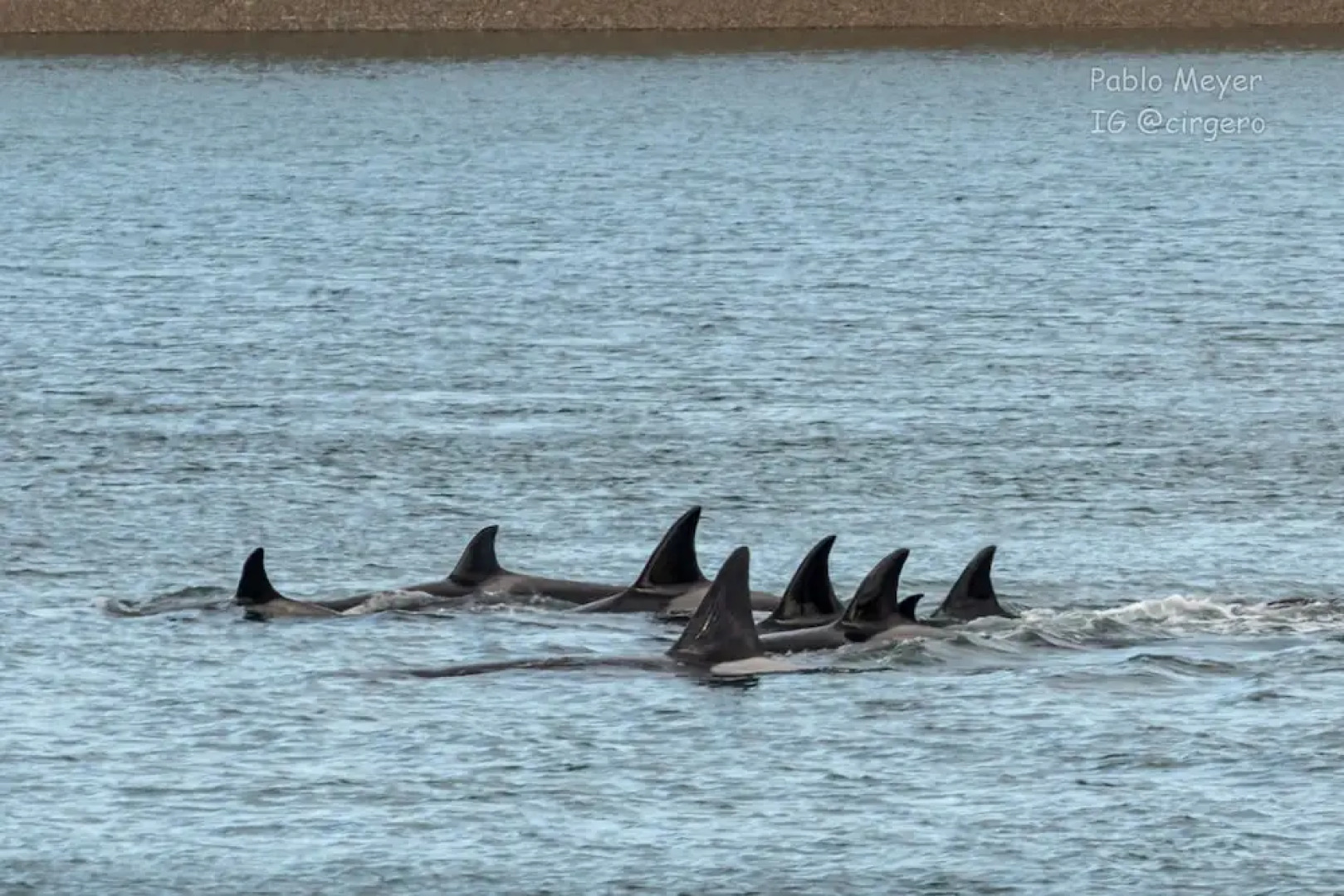 La Elvira Natural Lodge Nature & Wildlife Experience in Peninsula Valdés