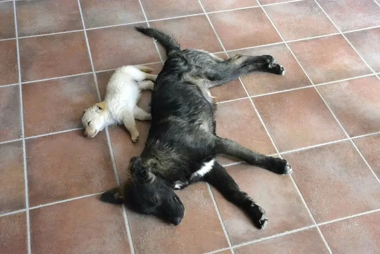 Fattoria Sociale Il Giardino dei Ciliegi