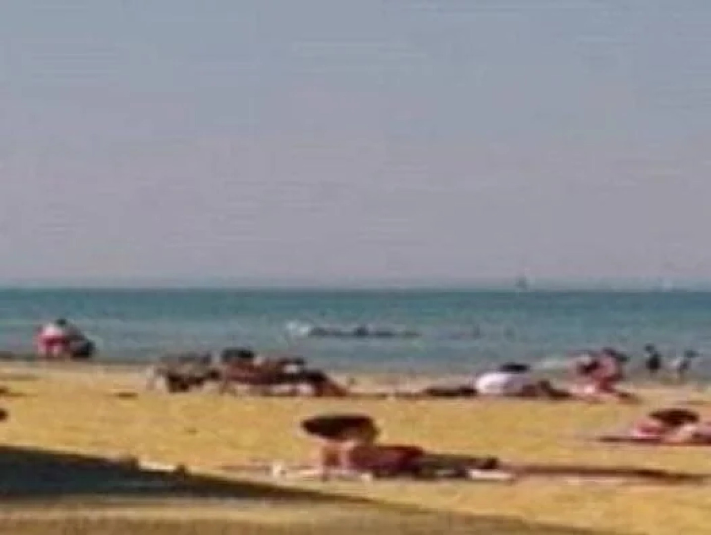 Homeleigh Guesthouse