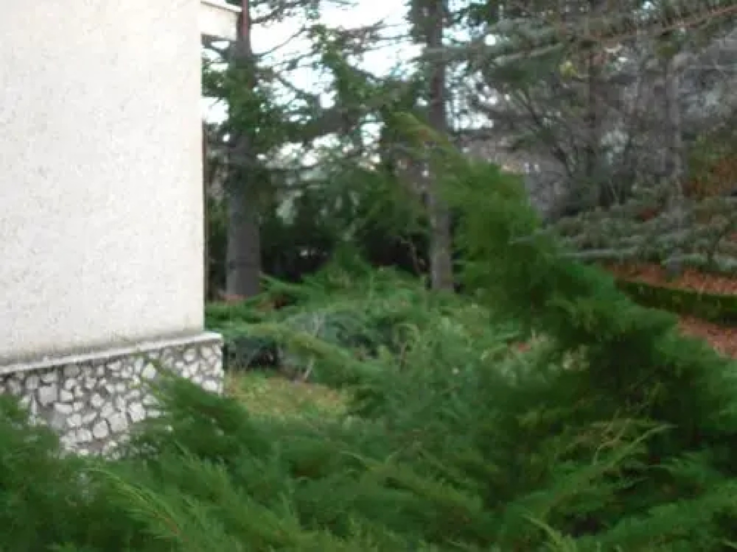 Appartamento Roccione