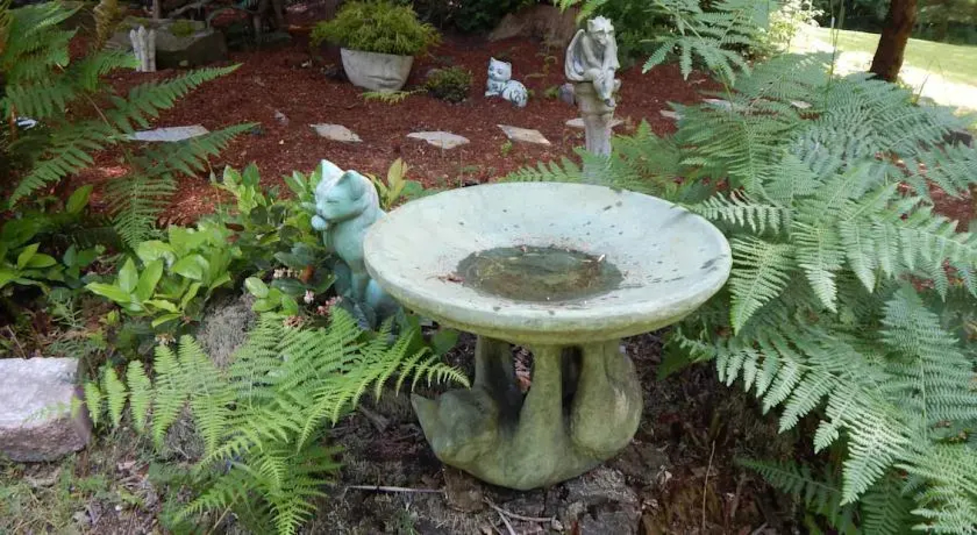 Green Cat Guest House