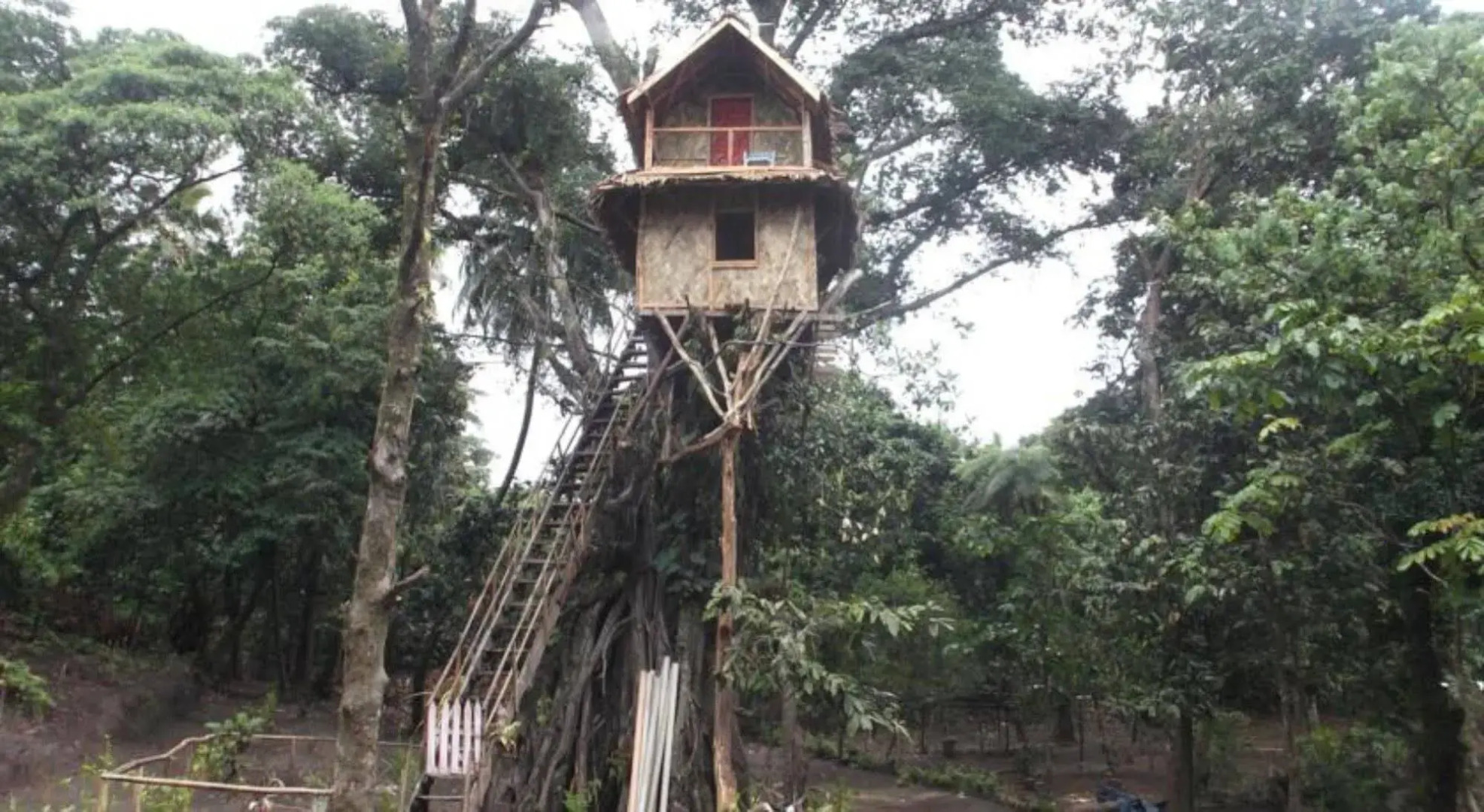 Tanna Lava View Bungalows