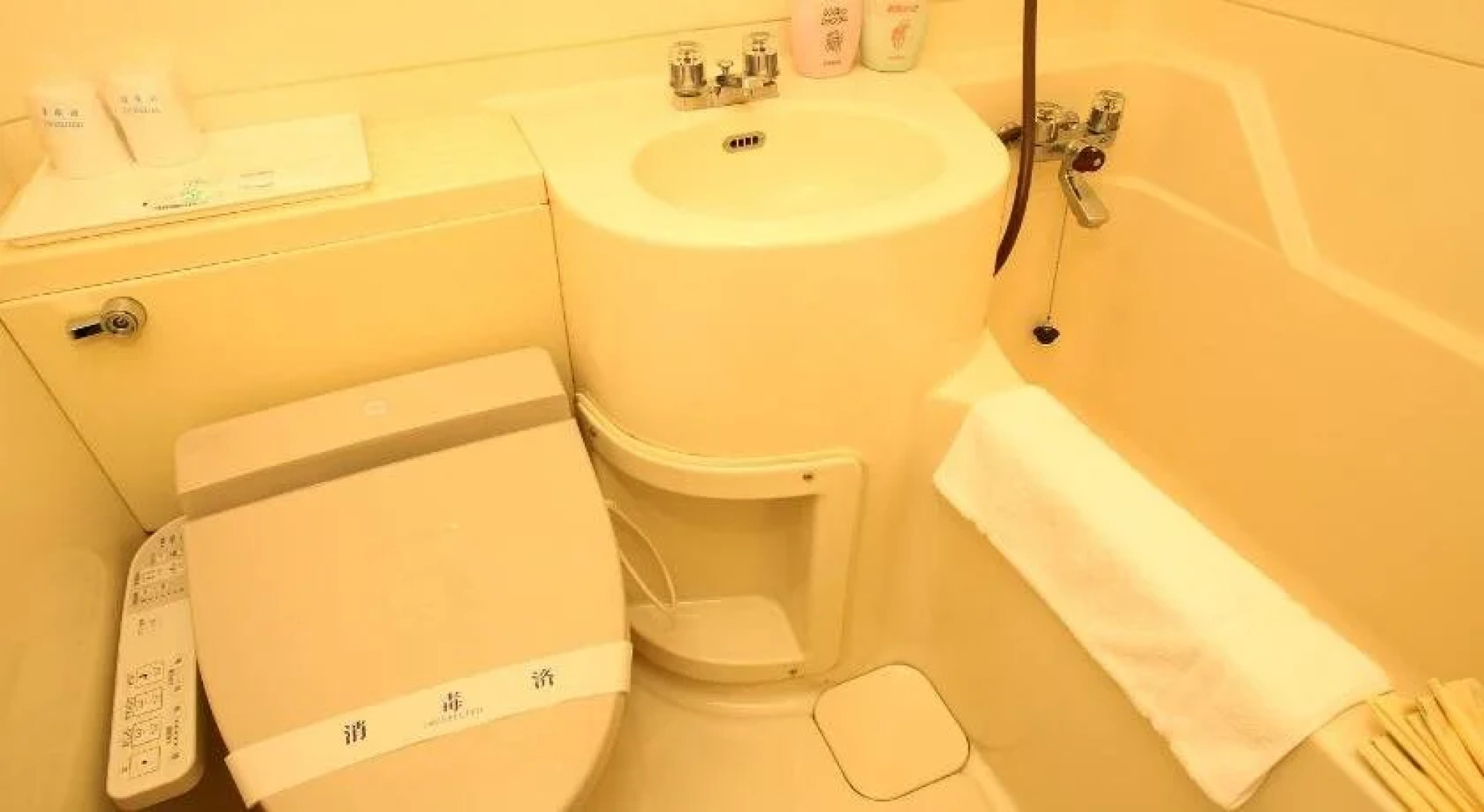 Fuji Hakone Land Schole Plaza Hotel