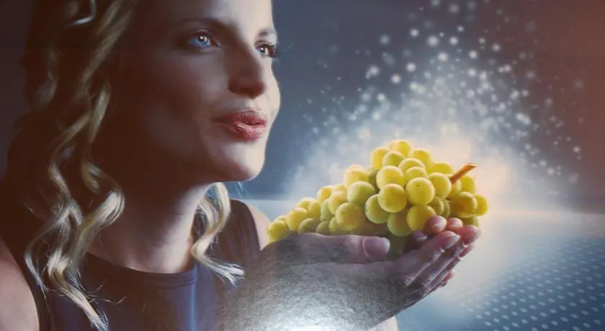 Flair Hotel Vino Vitalis