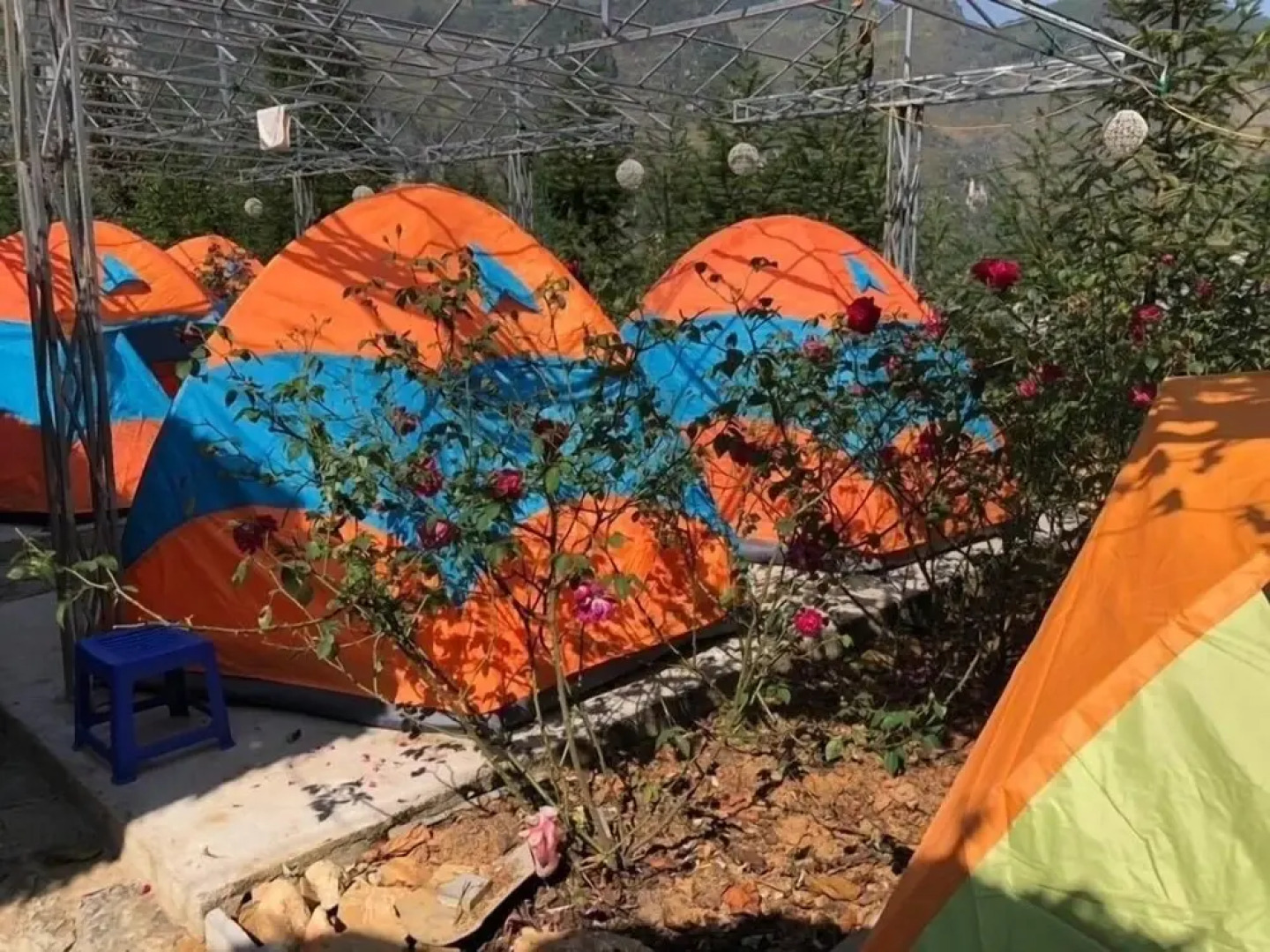 ZO Dong Van Hostel Backpackers