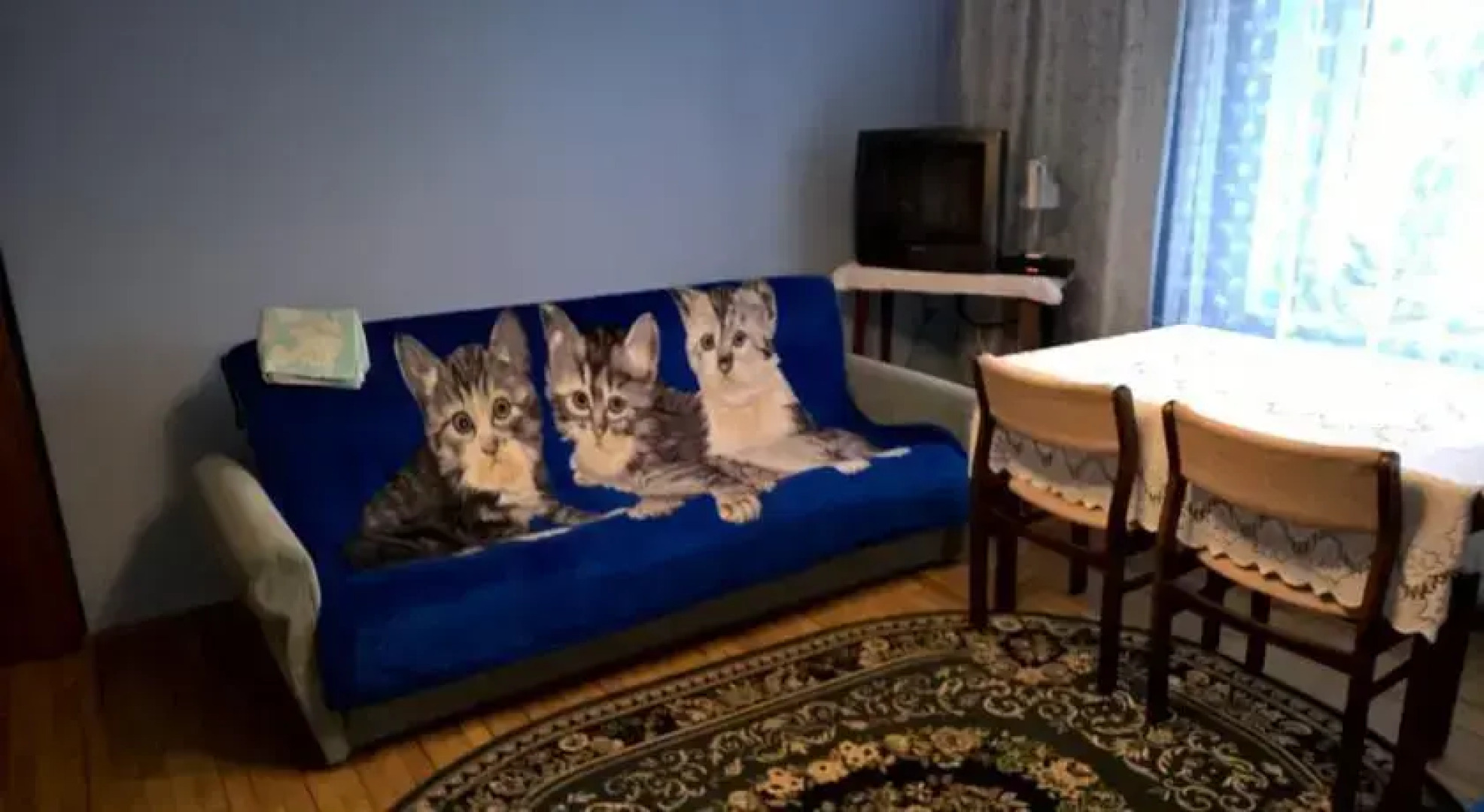 Pokoje Gościnne Szuber