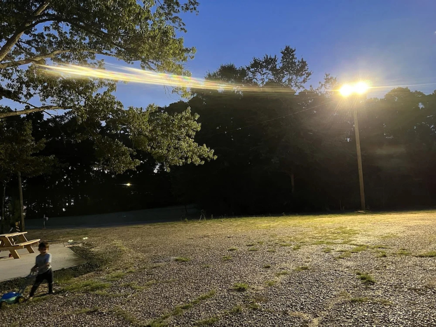 Driftwood Inn and Lodge by the lake