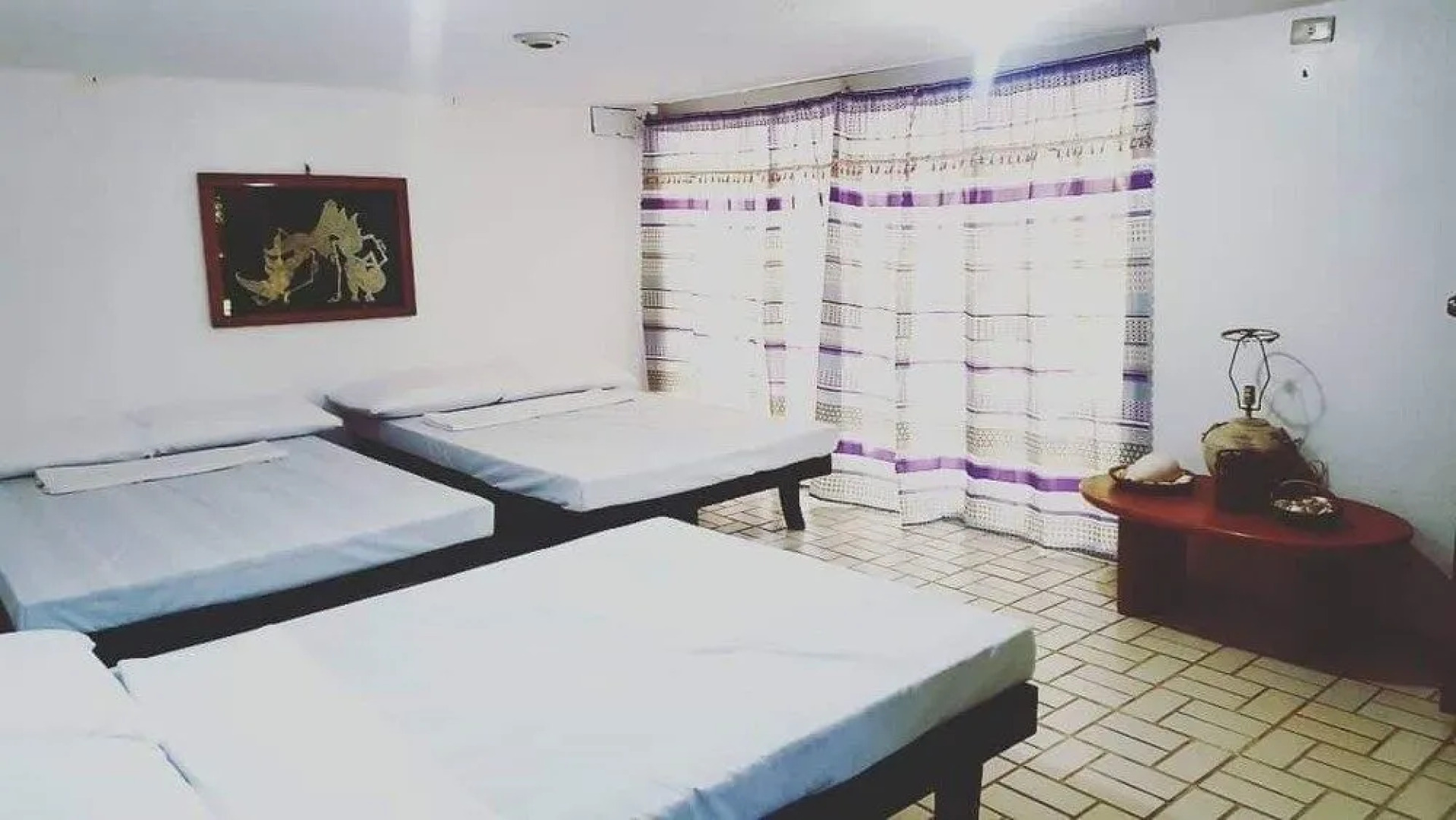 The Pelicans Castaway