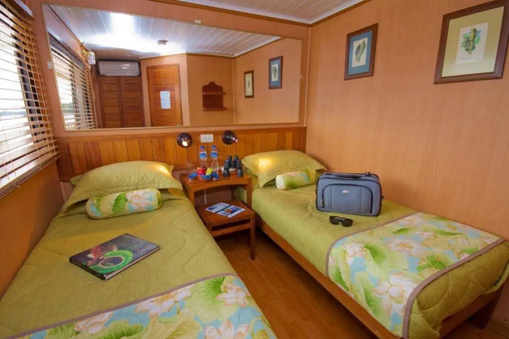 Manatee Amazon Explorer