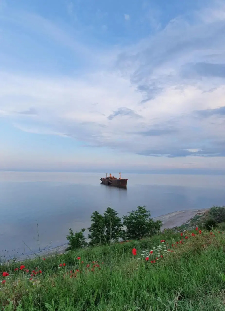 Sea&Sky Villa Costinesti