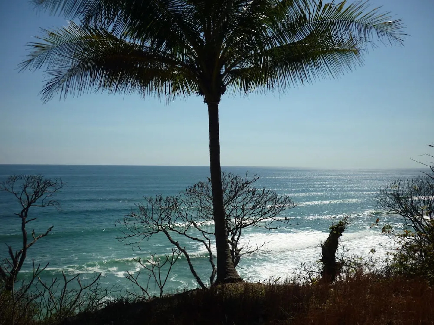 Hotel El Pequeño Gecko Verde