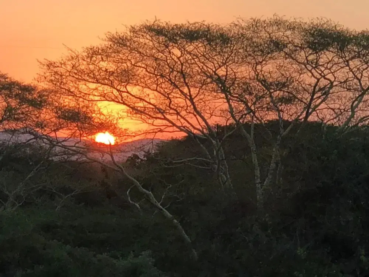 Msunduze River Lodge