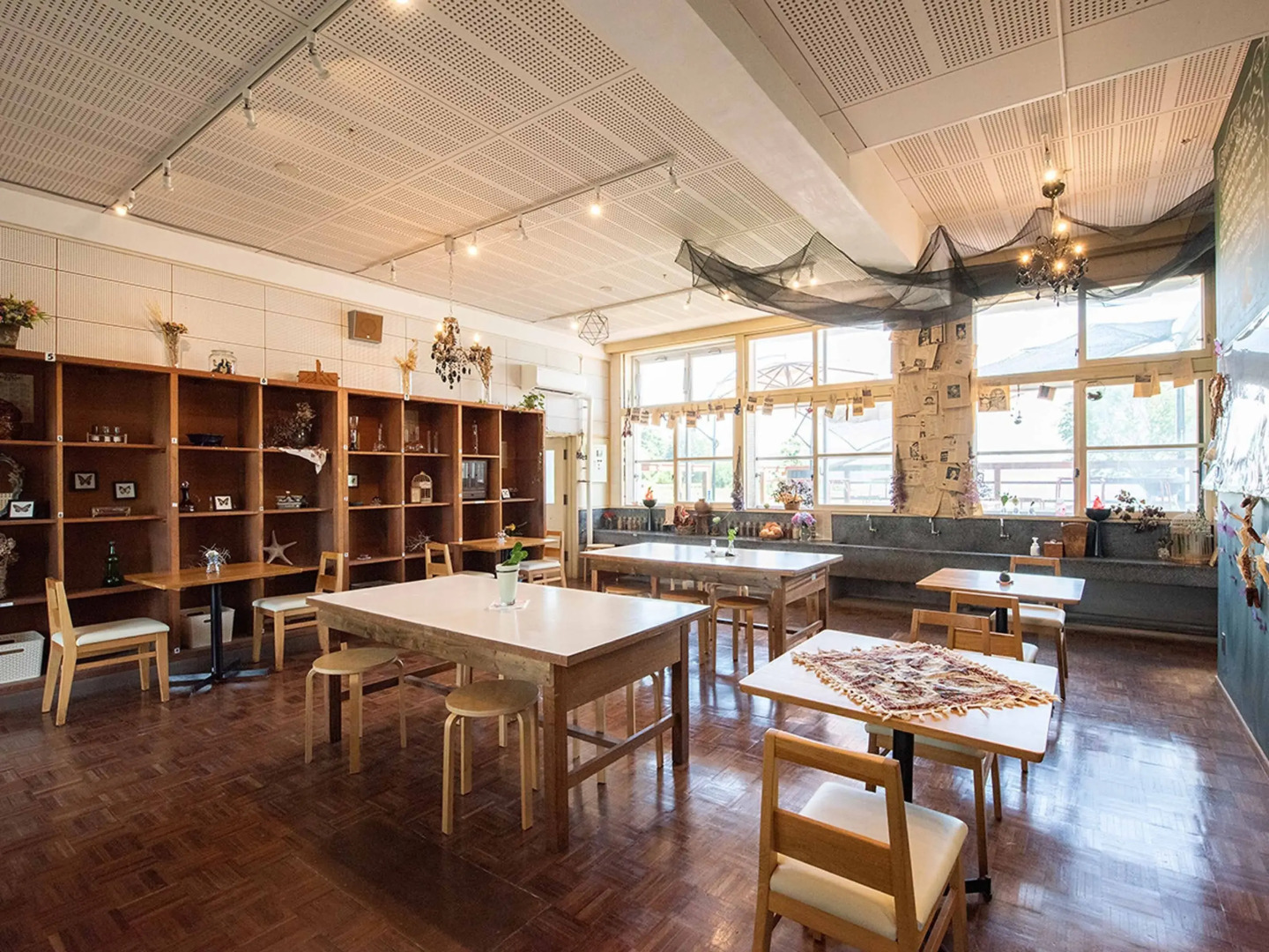 Yukusa Ohsumi Umi no Gakko