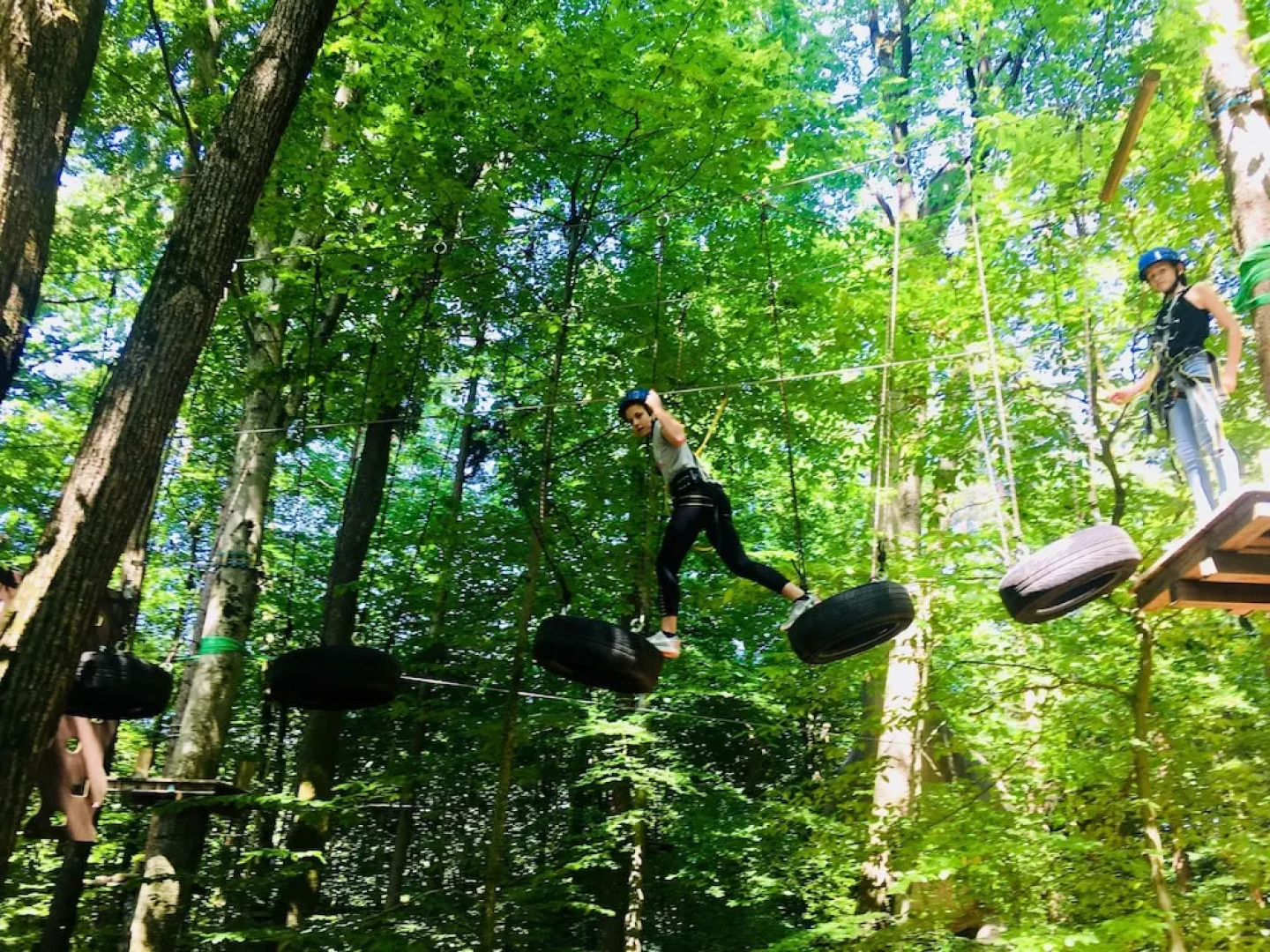 Baumhotel Styrassic Park