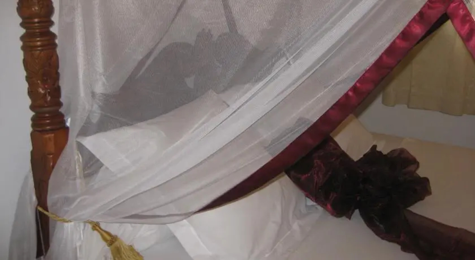 Villa Palatium Martinique