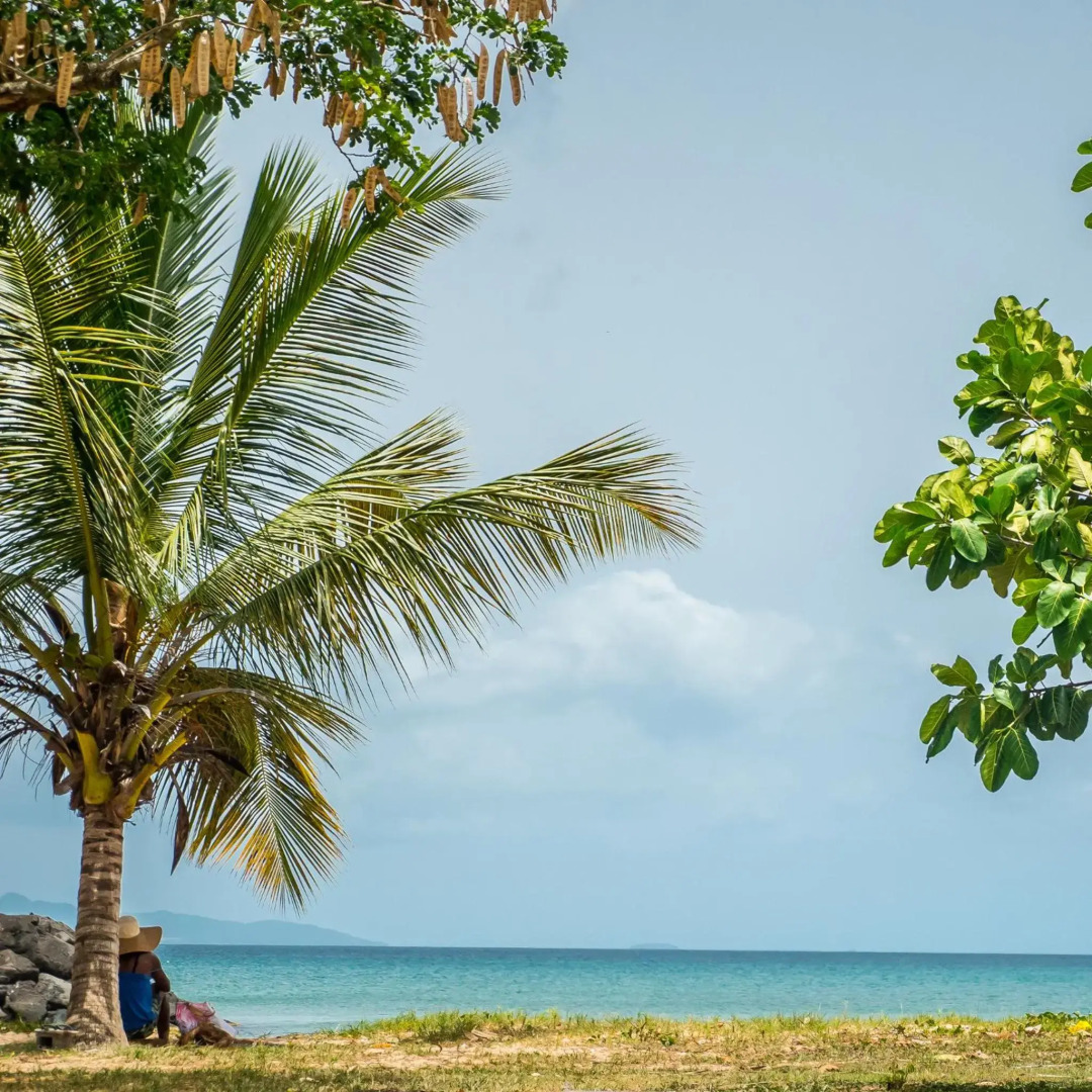 T2 Jacuzzis et piscine au centre ville de Port-Louis