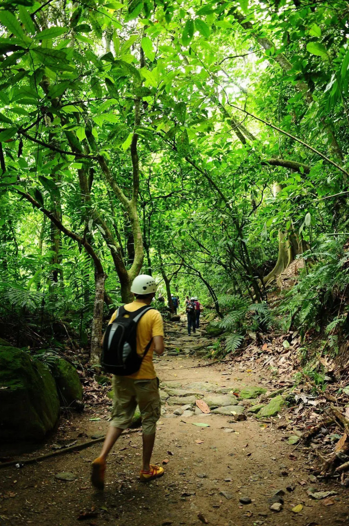 Paraiso Rainforest and Beach Hotel