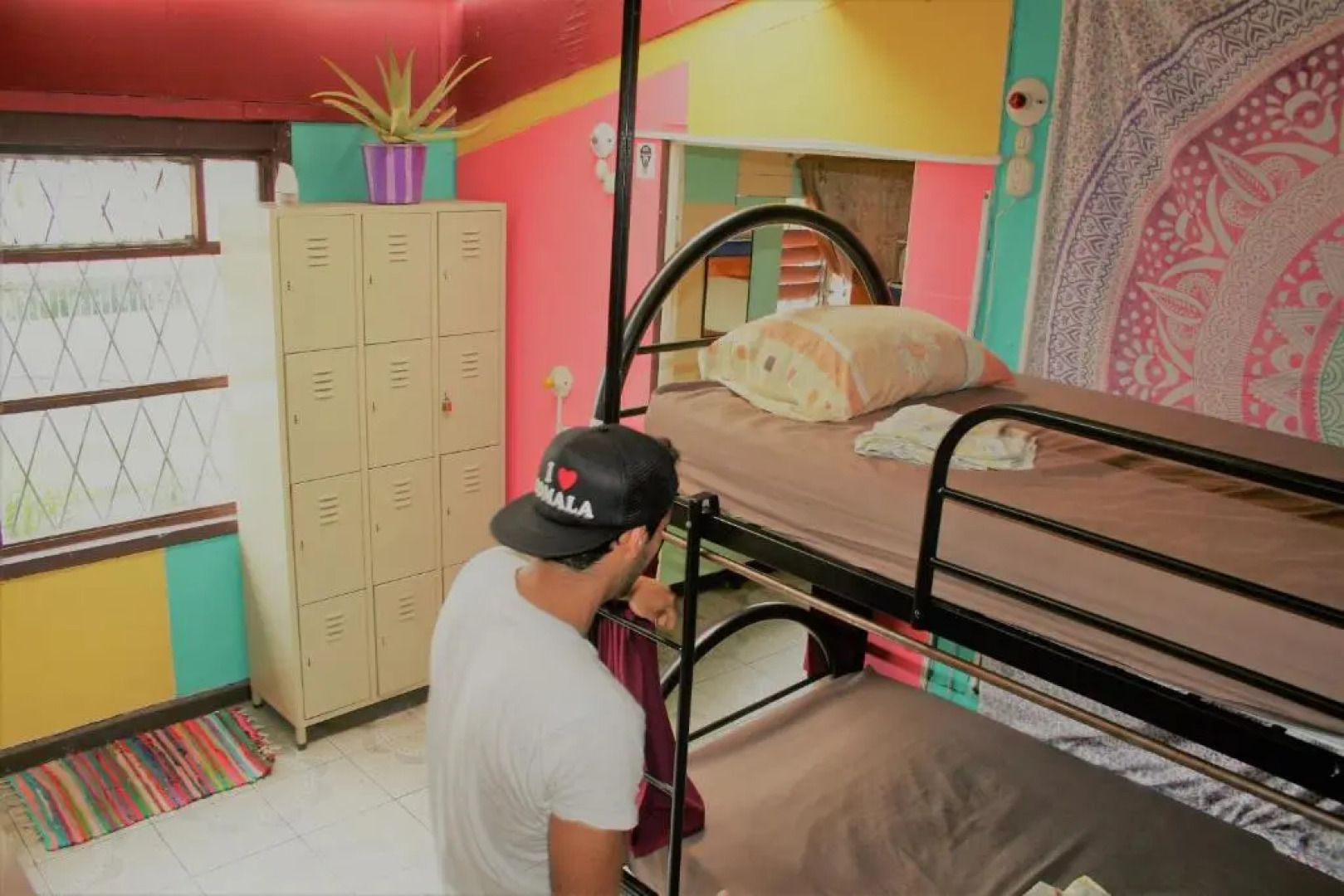 In The Wind Hostel And Guesthouse