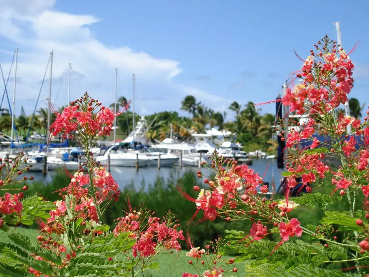 Tamarind Reef Resort Spa & Marina