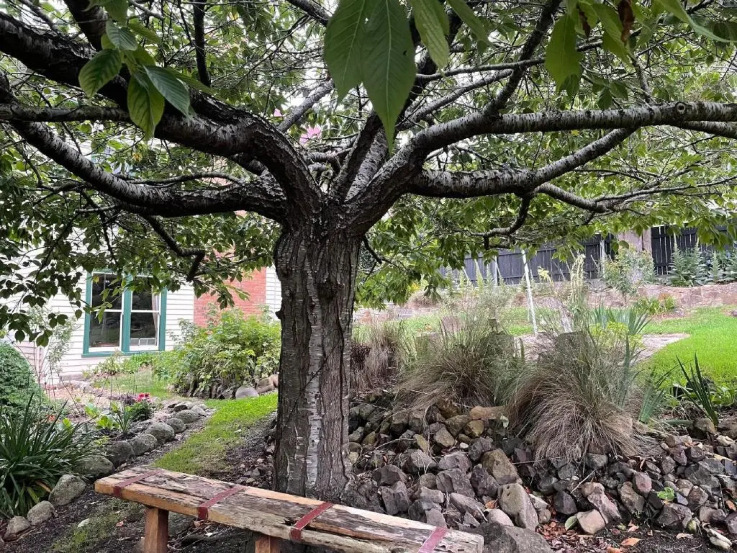 Derby Bank House- Heritage listed two bedroom old school B&B suite or a self contained cabin