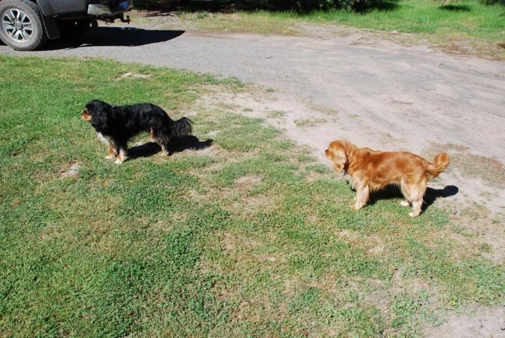 Bluegum Ridge Cottages