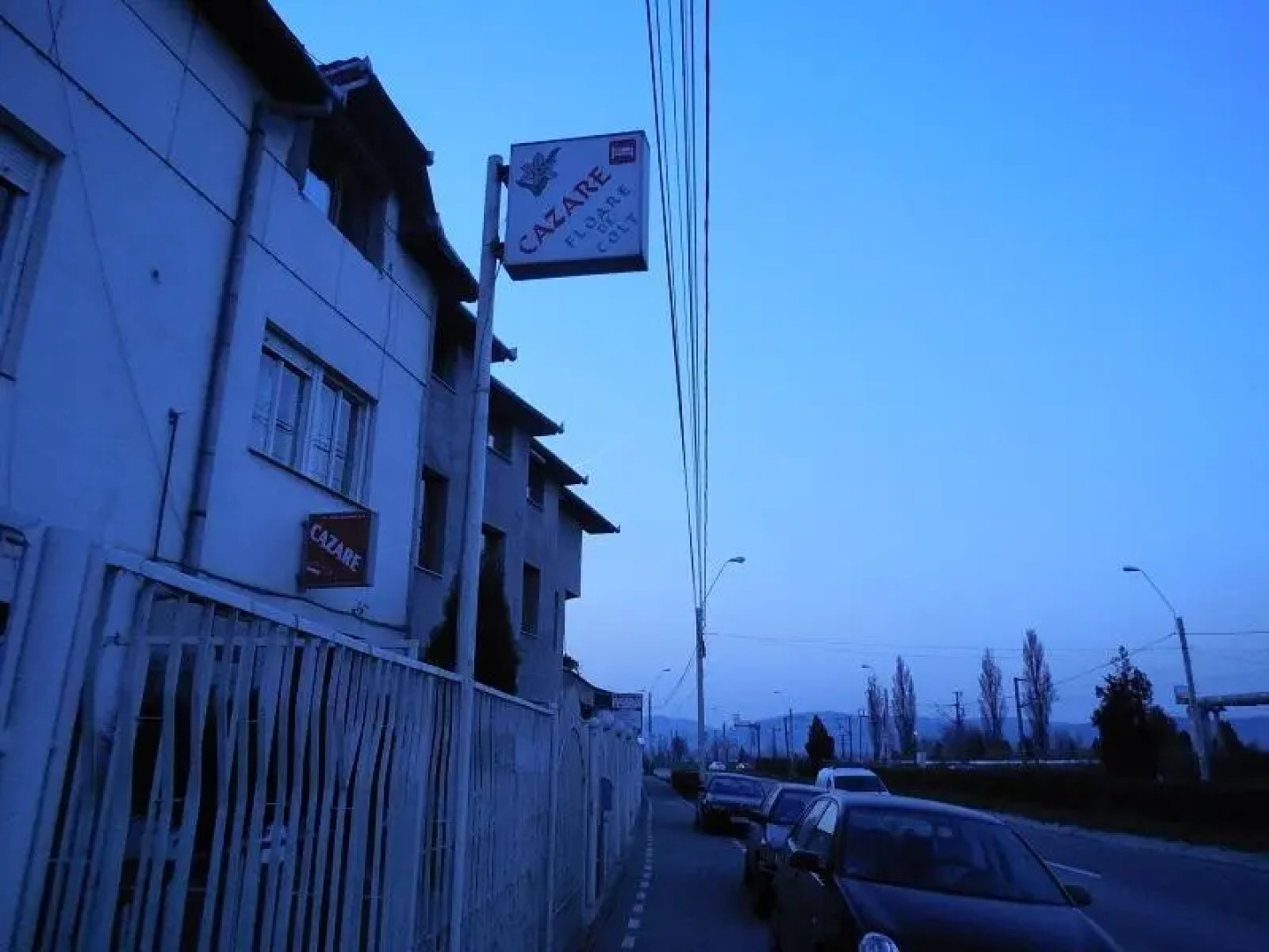 Pensiunea Floare de Colt