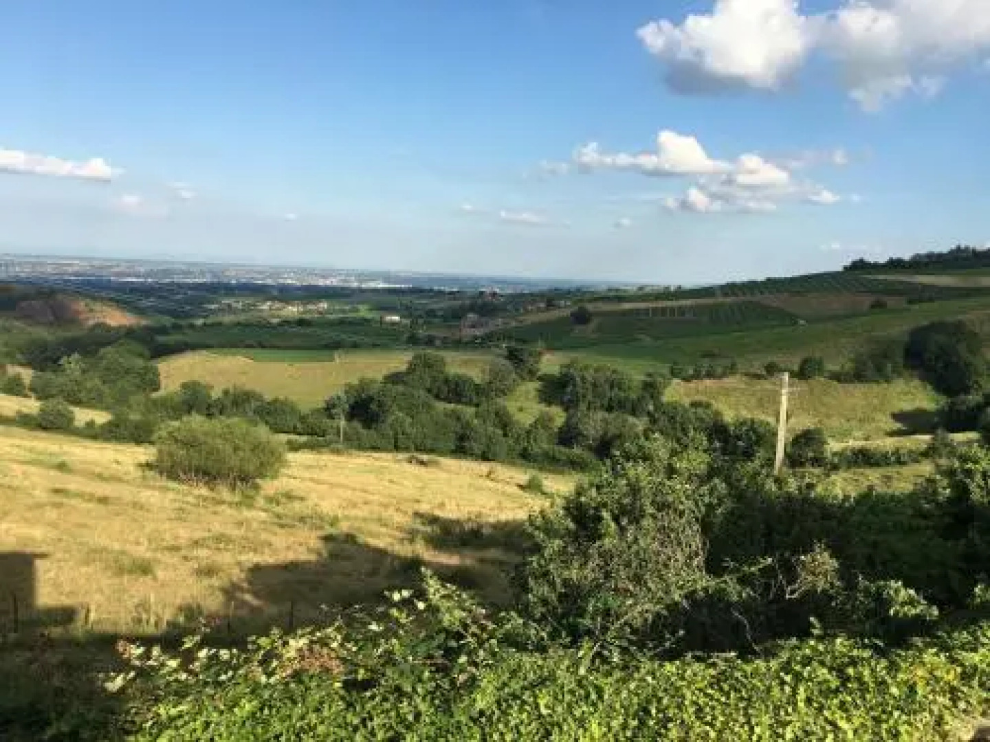 Les Chambres D'hotes D'alice Dior