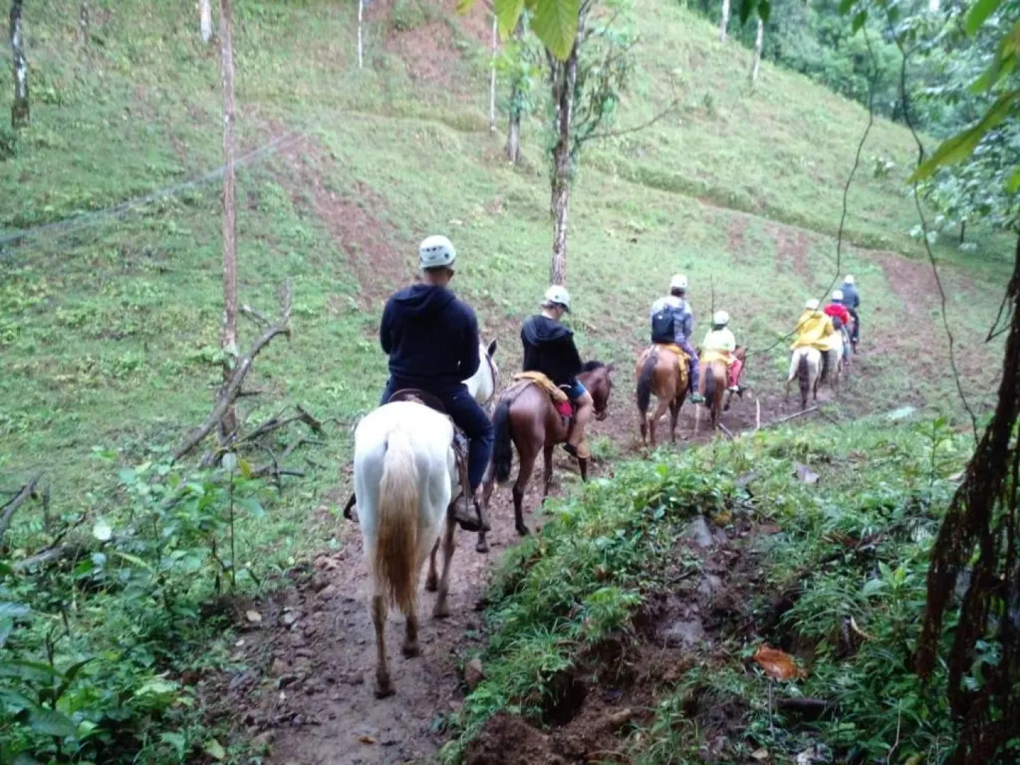 Hotel Rio Celeste to Know