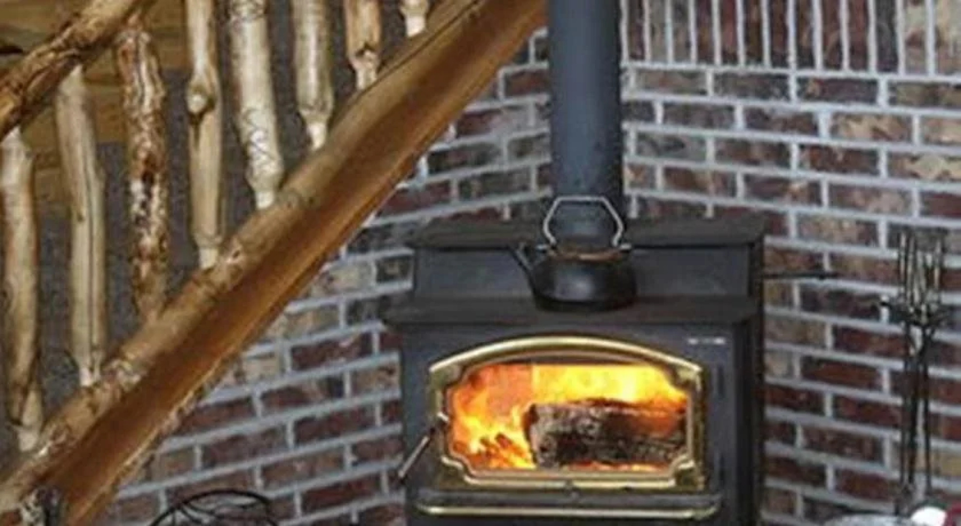 Bear In The Bed and Breakfast