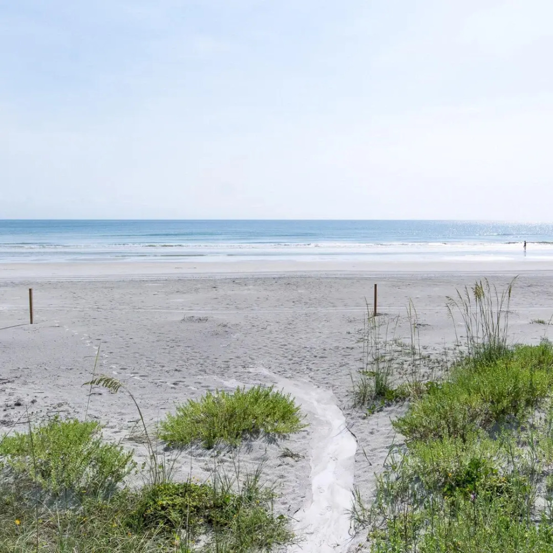 Beachfront Palm House - Walk Right out to the Pool Beach Access - Ph1b