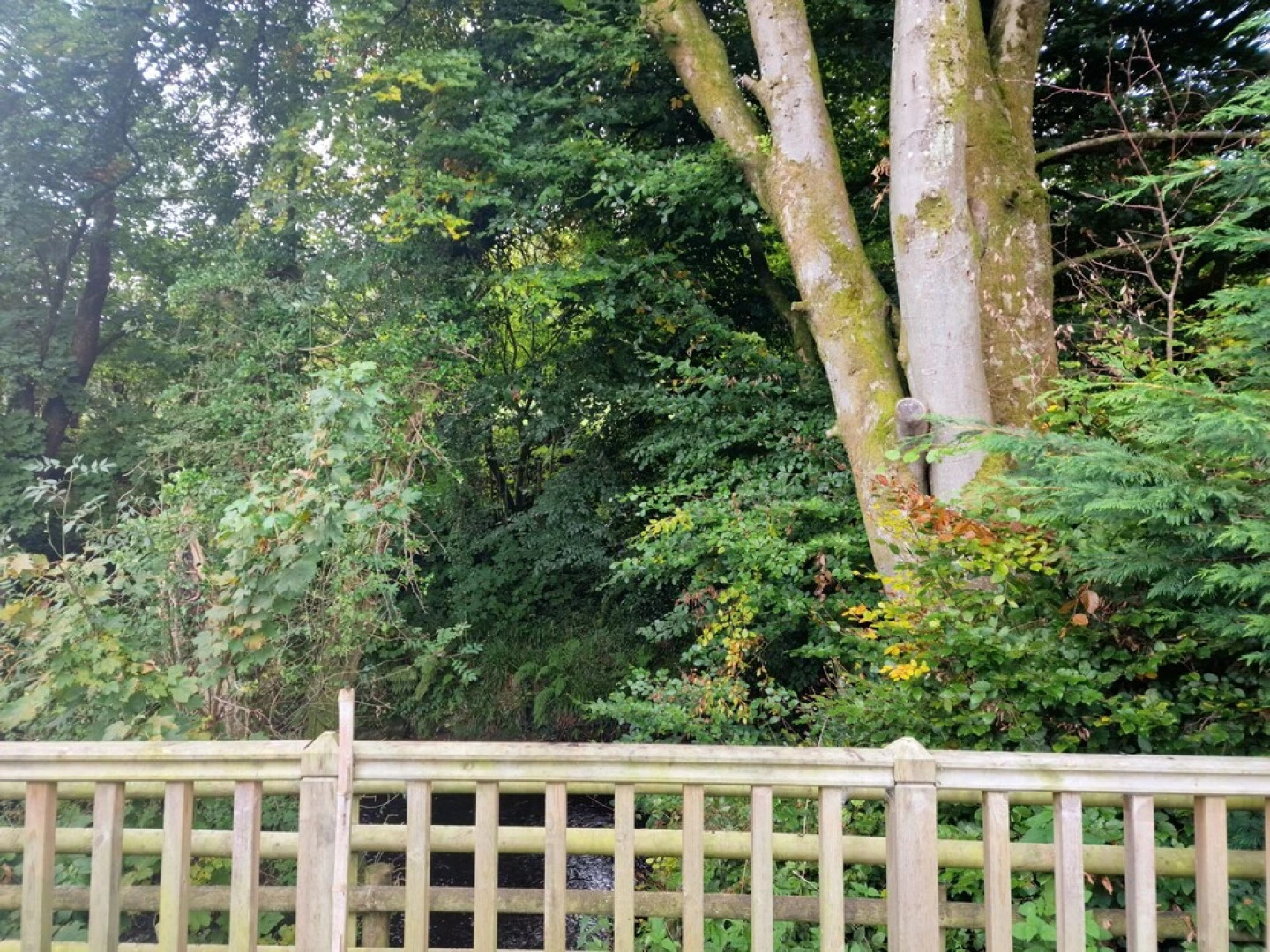 Glamping Hut - Riverside 1