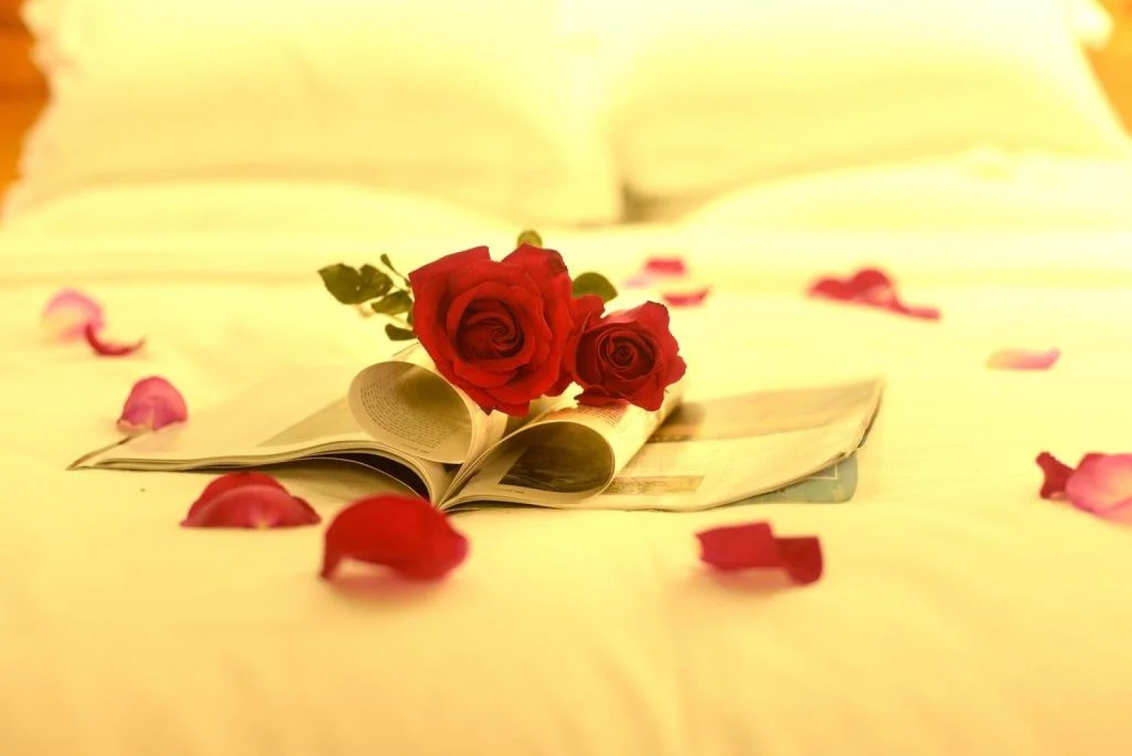 久栖·香格里拉玫瑰庄园