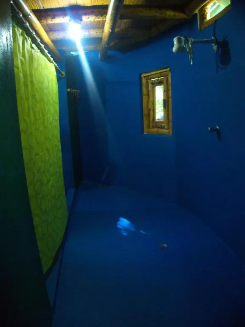 Deseo Bamboo Ecolodge - Bungalows