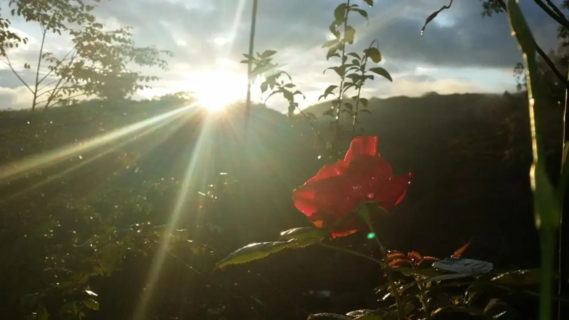 Pousada Casa Donadello