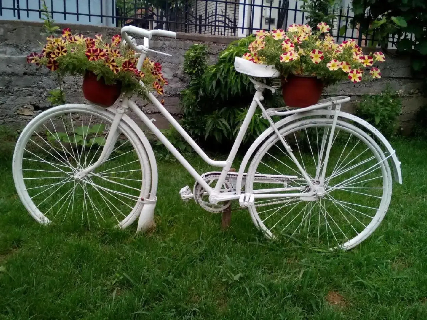 Guest House Vila Banjica