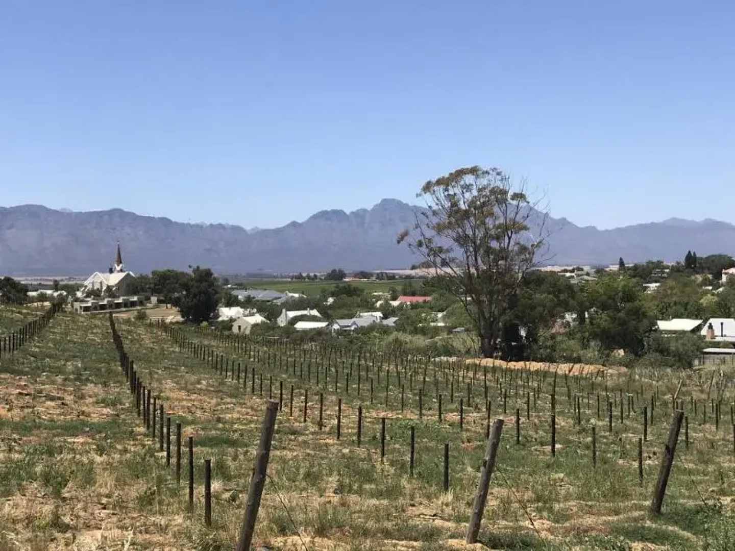 Ruby Rose Country House