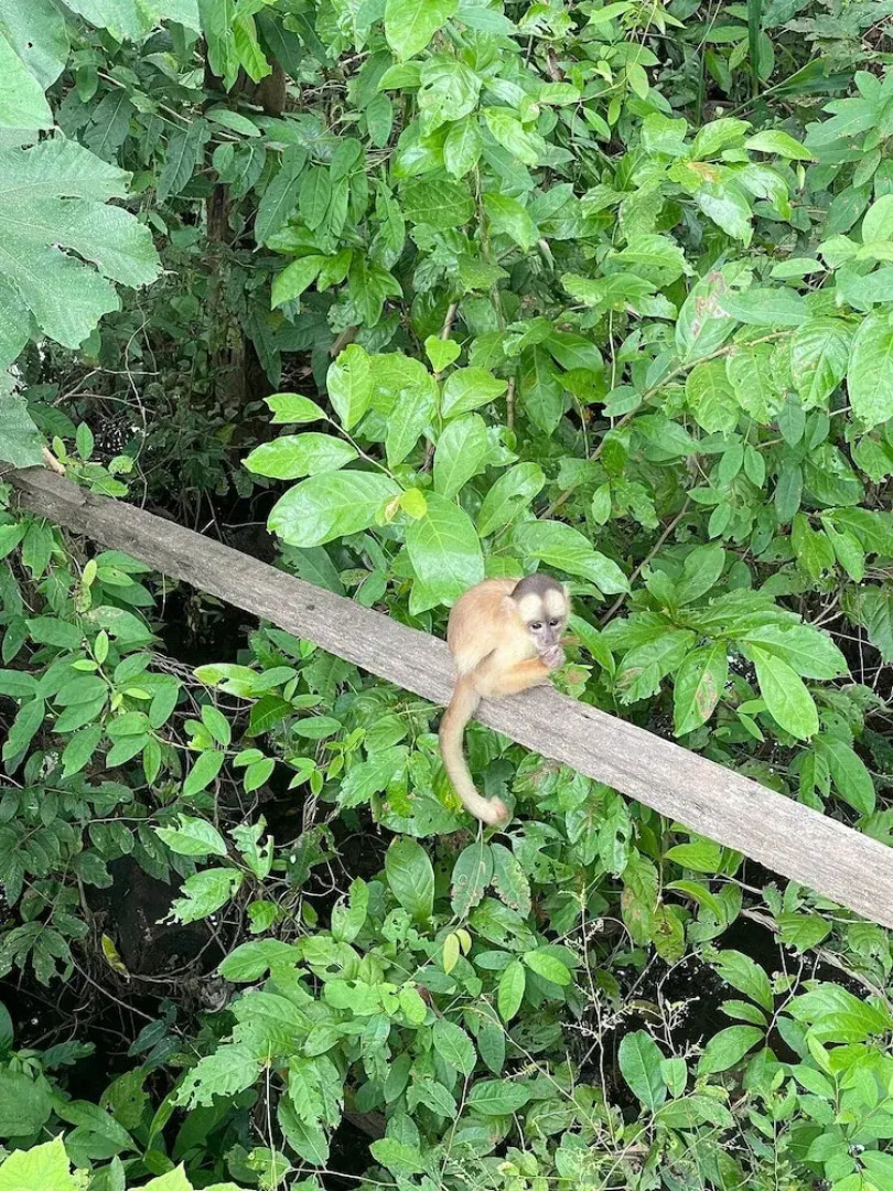 Pousada Cabana Nativa Paraíso