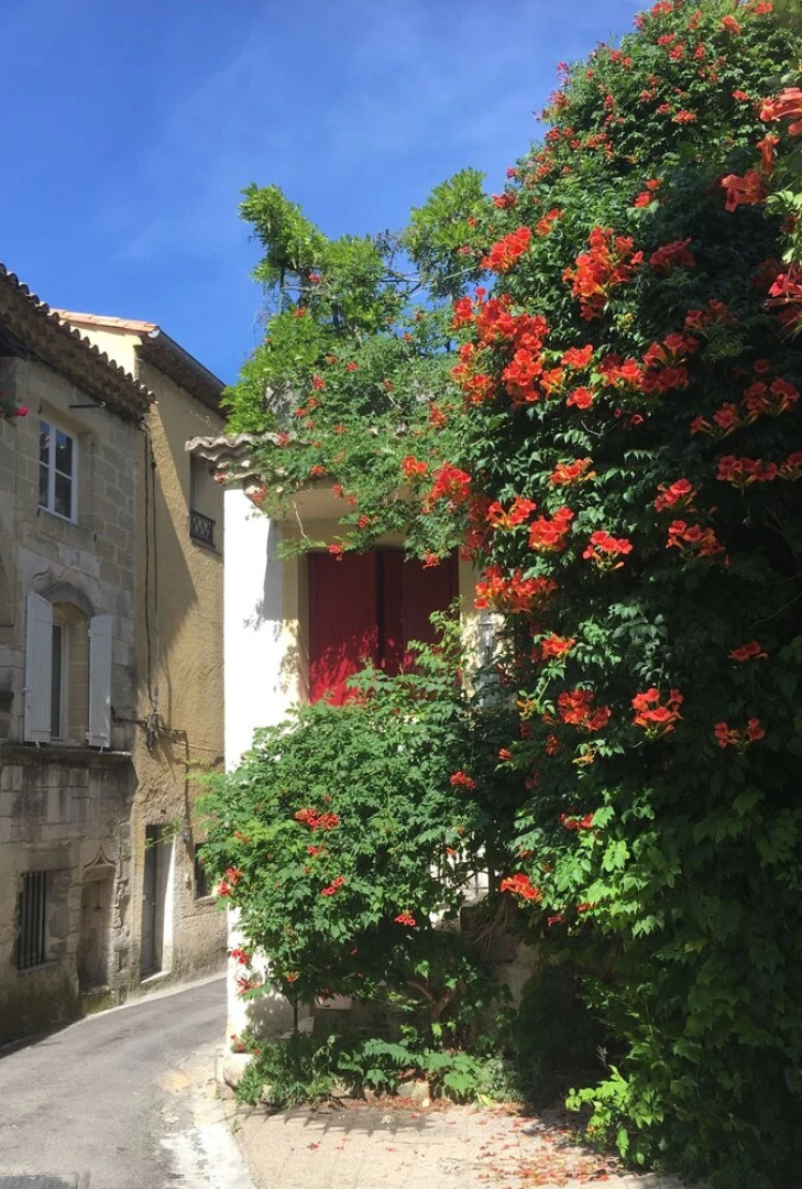 Nid d'Artiste Chambre d'hôtes