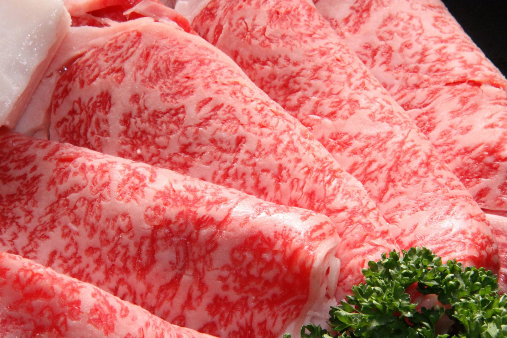 Kyoto Nanzenji Garden Ryokan Yachiyo Established in 1915