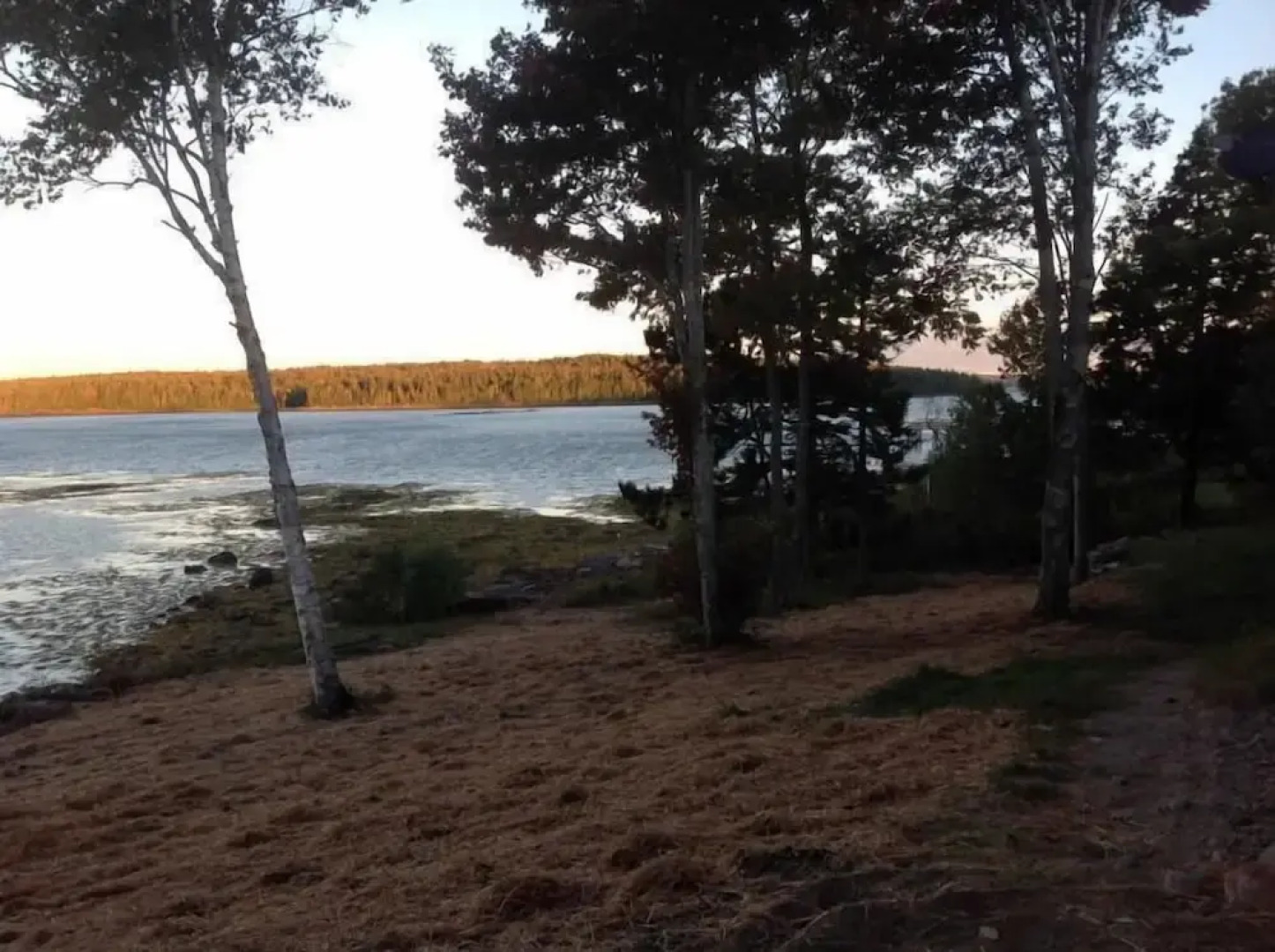 Clamshell By The Sea