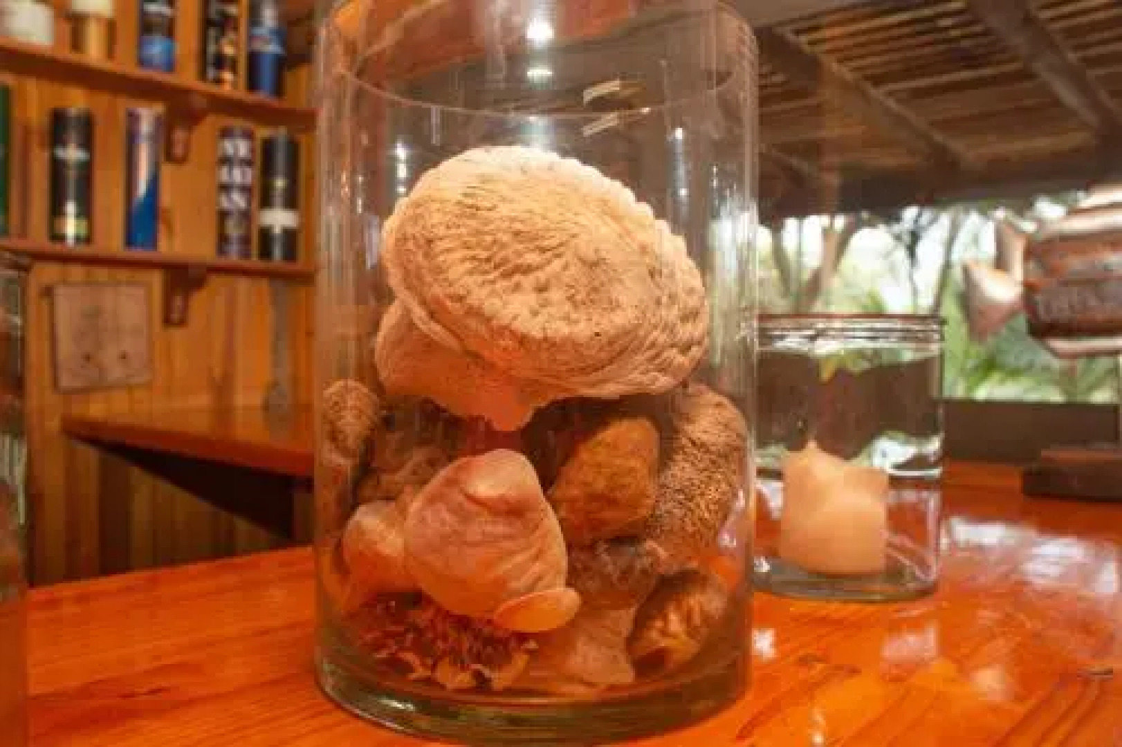 Sodwanabay Lodge House 58